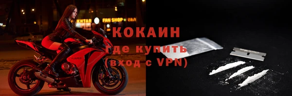 прущие грибы Лихославль