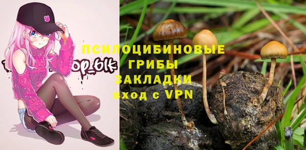 прущие грибы Лихославль