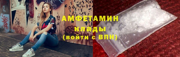 прущие грибы Лихославль