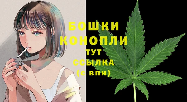 прущие грибы Лихославль